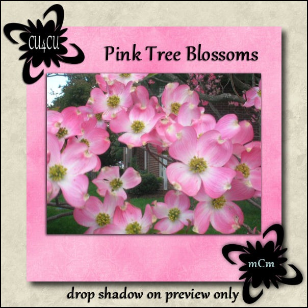 [mcm_pink%2520tree%2520blossoms_preview%255B13%255D.jpg]