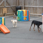 DSCN3453.jpg