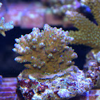 DSC_2119.jpg