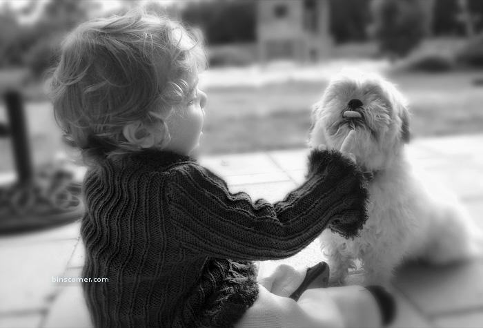So Sweet Photos : You will smile for sure