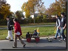 leiterwagen leiterwagen