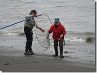 IMG_5719 IMG_5719