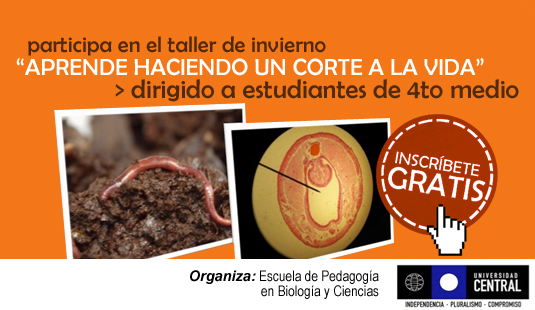 Participa en el taller de invierno “Aprende haciendo un corte a la vida”