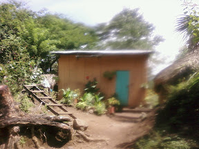 PIC-0072.jpg