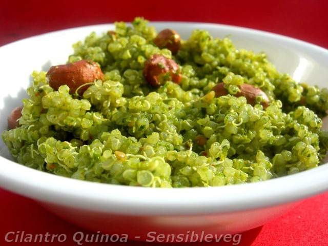 [cquinoa1%255B4%255D.jpg]