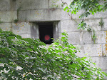 IMG_1650.jpg
