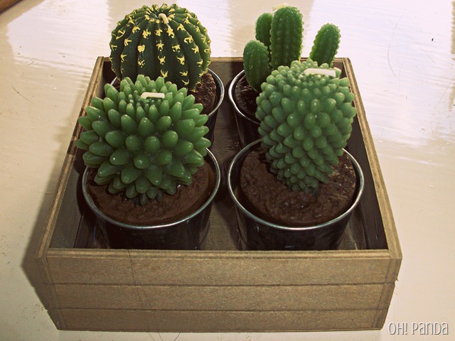 [Cactus%2520Candles%2520from%2520Not%2520On%2520The%2520High%2520Street%255B4%255D.jpg]