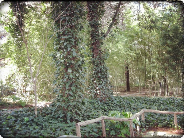Περίπατο στον Βοτανικό Κήπο Διομήδους (Χαϊδάρι) by ♫ΣΥΛΛΕΓΩ ΣΤΙΓΜΕΣ♫