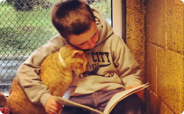 kids-reading-to-cats kids-reading-to-cats