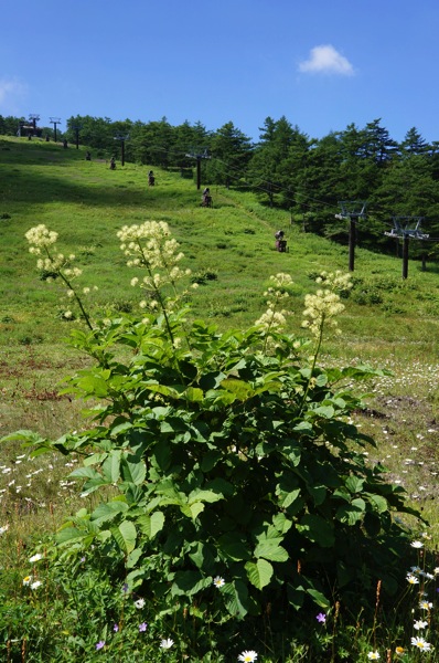 DSC03557