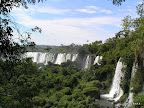 Der Urwald in Iguazu