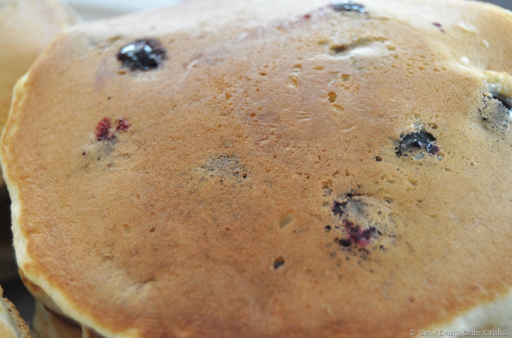 [Close-up-blueberry%255B3%255D.jpg]