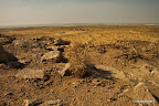 Dry grounds. Nomad camp in the background