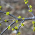 20110226_20