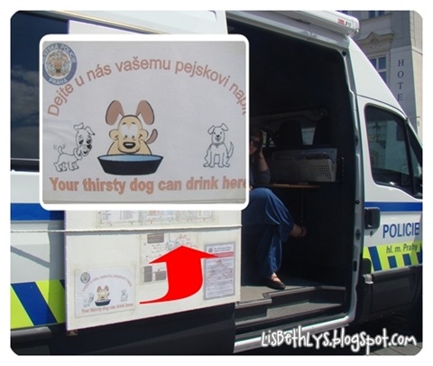 Prag's politi hjælper tørstige hunde