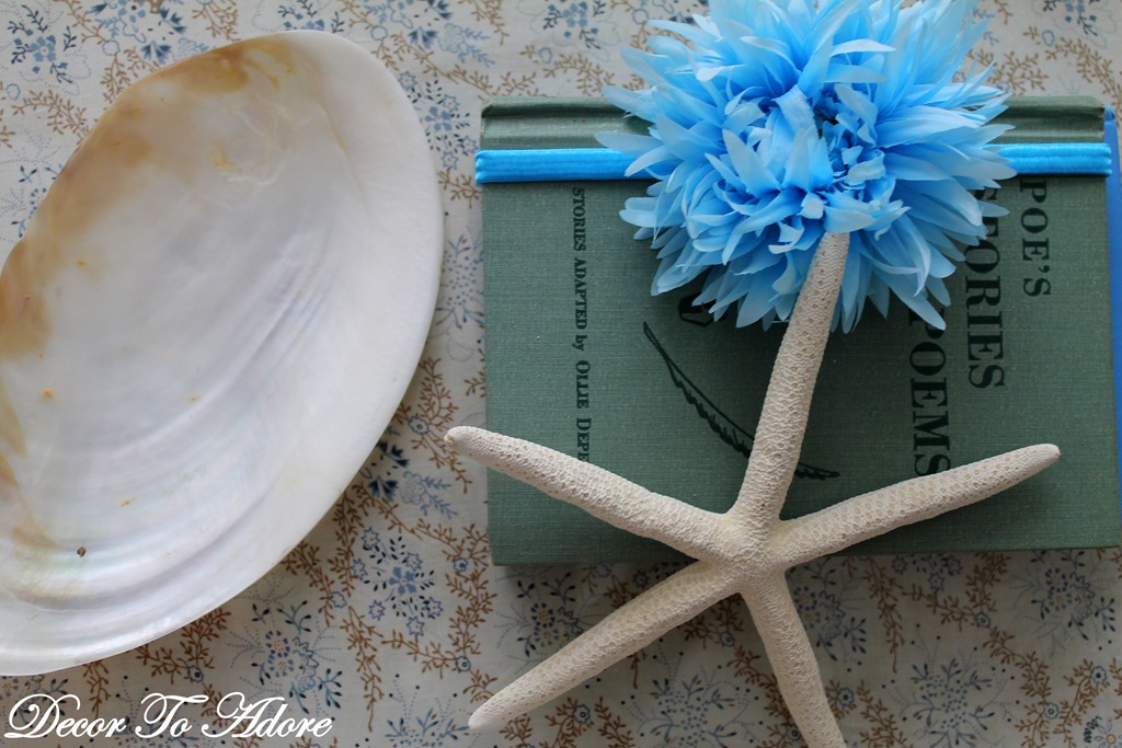 [seashells%2520013-001%255B3%255D.jpg]