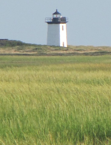 [Provincetown%2520Lighthouse%2520taken%2520across%2520the%2520marsh1%255B3%255D.jpg]