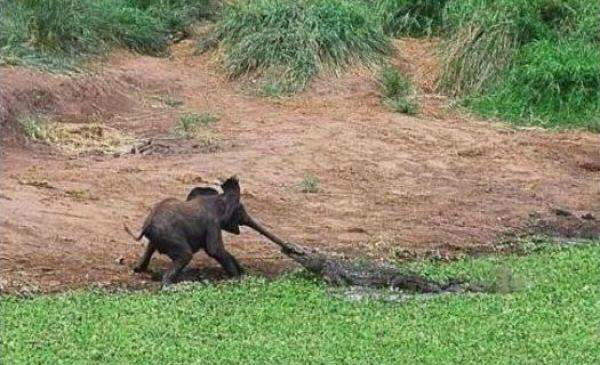 Photos that will make you stare atleast for a minute :)
