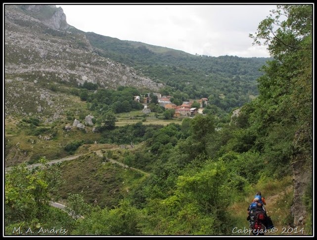 Picos 795 Picos 795