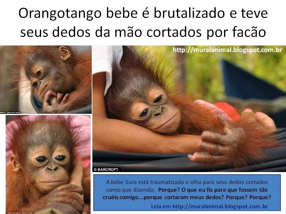 [oragotango%2520%25281%2529%255B7%255D.jpg]