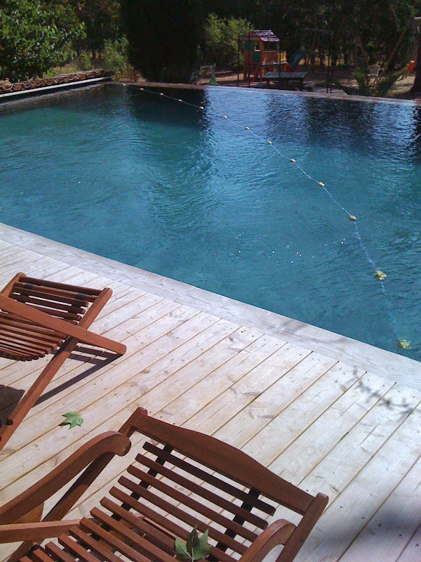 piscine bois 77