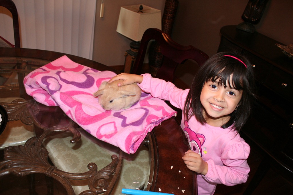 [IMG_5846%255B4%255D.jpg]