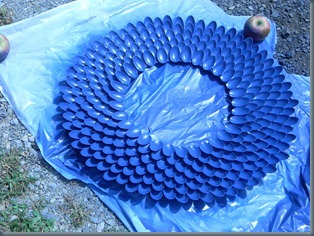 DSCN3330 DSCN3330