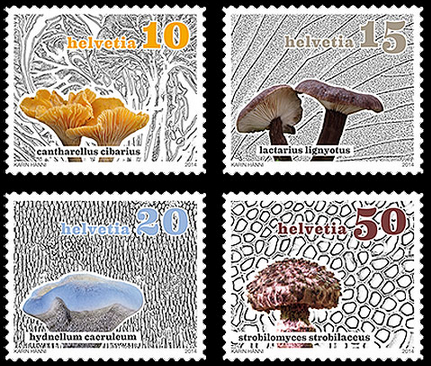 [image%255B15%255D.png]