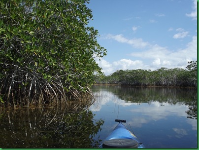 9 mile pond paddle 038