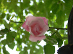P1090070.JPG