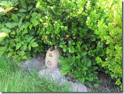 IMG_0778 IMG_0778