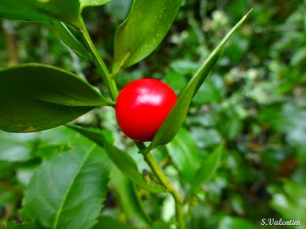 [P1140546%255B3%255D.jpg]