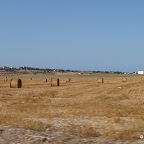 Vakantie 2008 - Mallorca (470).JPG