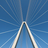 bridge run '09