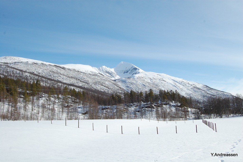 [DSC_0793%255B4%255D.jpg]