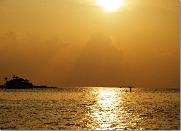 Golden Sunset Golden Sunset