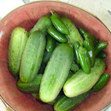 Cucumbers and jalapenos from the garden.