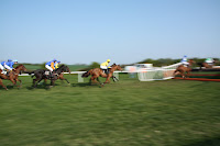 Horse Races 2009