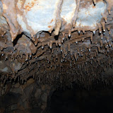 DSC_7156.JPG
