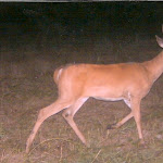 austin0013.jpg