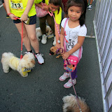 Pet Express Doggie Run 2012 Philippines. Jpg (113).JPG