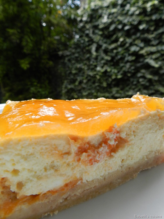 [cheese%2520cake%2520abricots%2520morceau%255B7%255D.jpg]