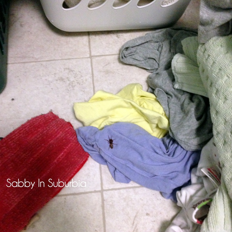 [IMG_0312-002%255B5%255D.jpg]