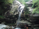 P1010078.JPG