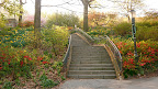 I love how this stairway cuts through the hill in a graceful sweep.