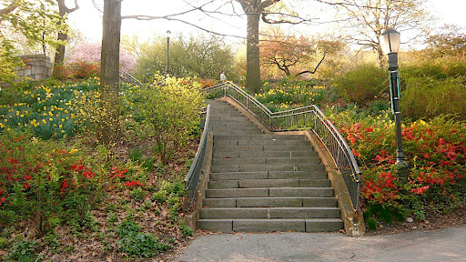 I love how this stairway cuts through the hill in a graceful sweep.