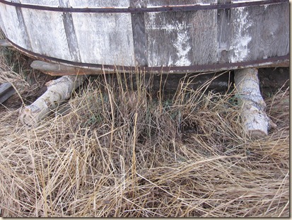 metal roof 039