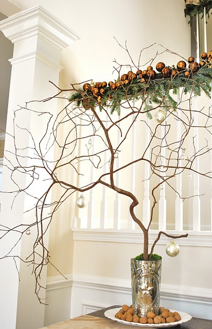 [branch-tree-54.jpg]