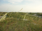 DSC01169.JPG