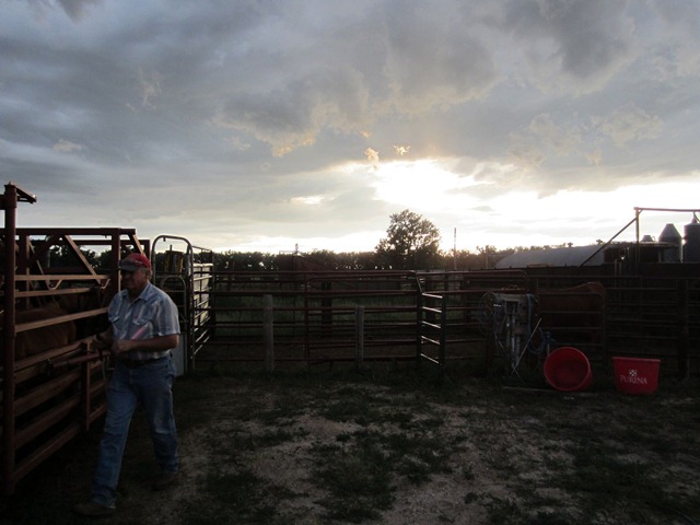 [IMG_0082%255B3%255D.jpg]